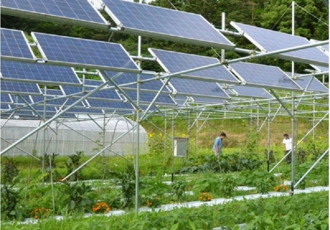 Điện năng lượng mặt trời dành cho nông nghiệp 