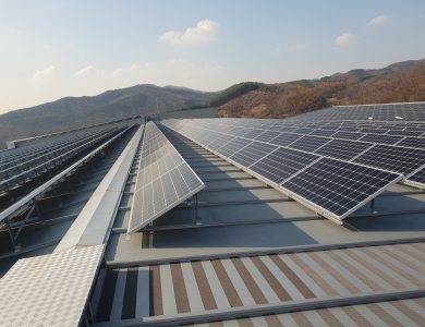Điện năng lượng mặt trời dành cho doanh nghiệp 